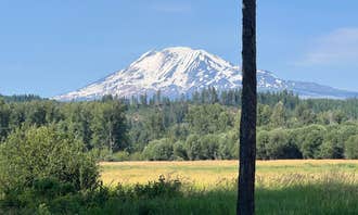 Camping near Wicky Shelter Campground: Elk Meadows RV Park, Trout Lake, Washington