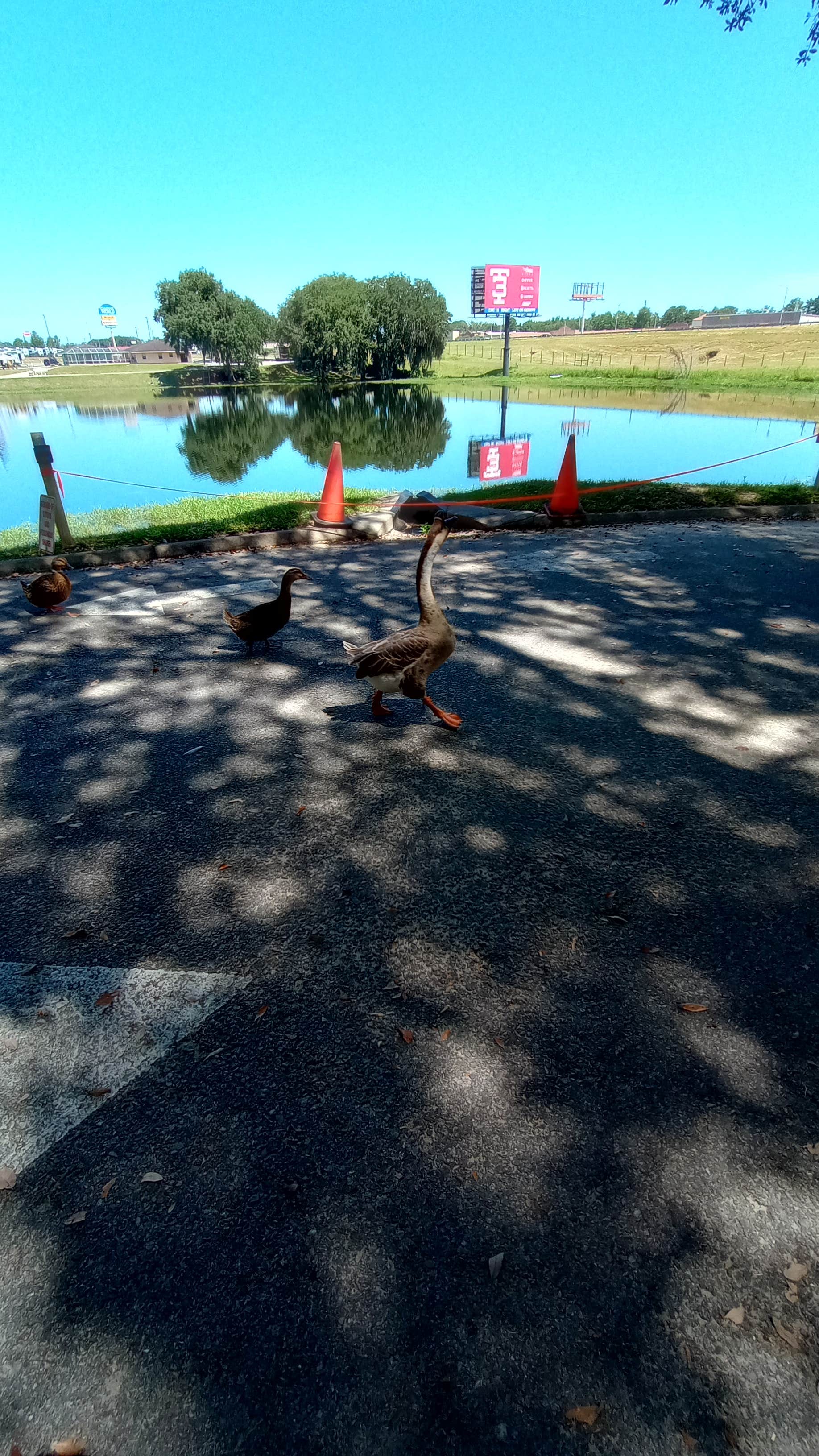 Camper-submitted photo at Lake Park Campground near Adel, GA