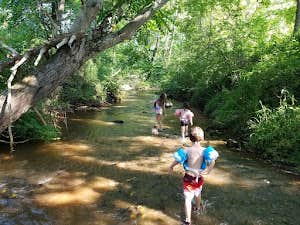 Camping near Devils Backbone Camp: Camp Cove Creek, Covesville, Virginia