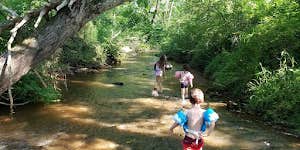 Camper submitted image from Camp Cove Creek