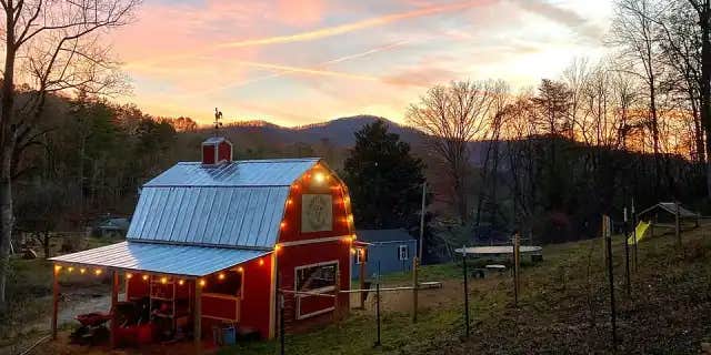 Camper submitted image from Candy Mountain Goat Farm