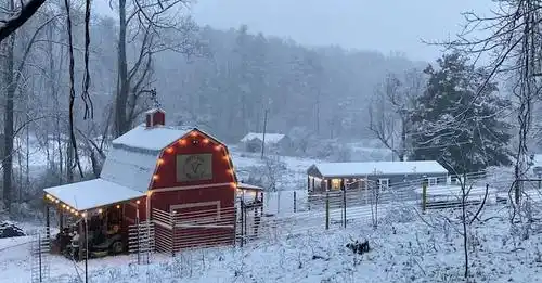 Camper-submitted photo at Candy Mountain Goat Farm near Farner, TN