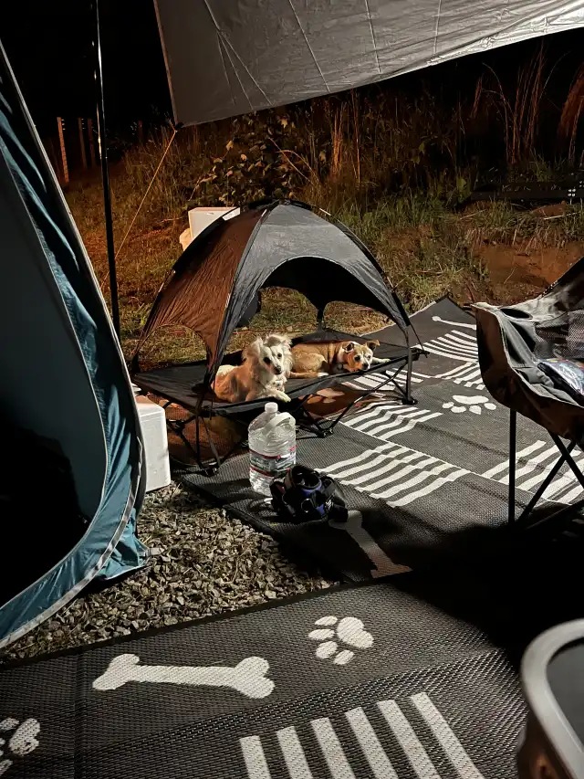 Camper-submitted photo at Candy Mountain Goat Farm near Farner, TN