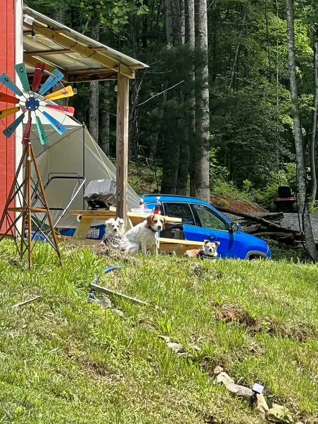 Camper-submitted photo at Candy Mountain Goat Farm near Farner, TN