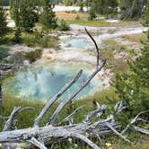 Review photo of Grant Village Campground — Yellowstone National Park by Duncan G., August 2, 2022