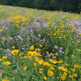 Review photo of Minneiska Campground — Whitewater State Park by Brady J., August 2, 2022