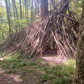 Review photo of Quaker Area — Allegany State Park State Park by Stephanie B., August 2, 2022