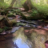 Review photo of Quaker Area — Allegany State Park State Park by Stephanie B., August 2, 2022