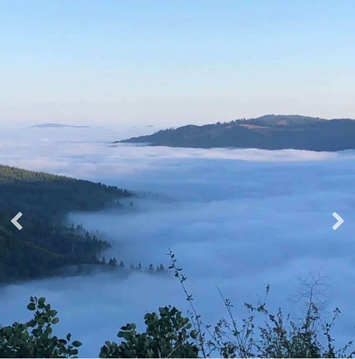 Camper-submitted photo at High Vibes near Ferndale, CA