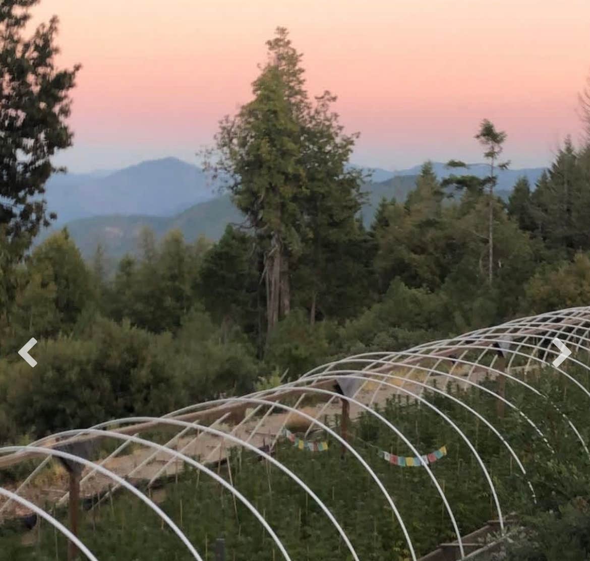 Camper-submitted photo at High Vibes near Ferndale, CA