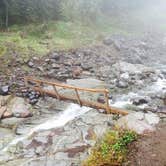 Review photo of Hoh Campground — Olympic National Park by Carla S., July 27, 2016