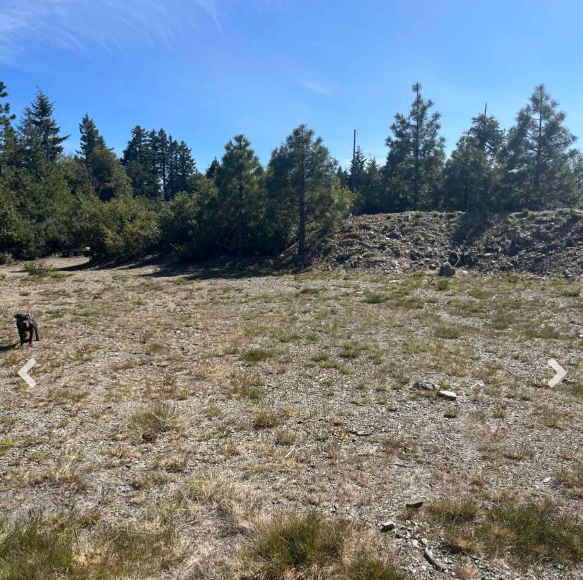 Camper-submitted photo at High Vibes near Ferndale, CA