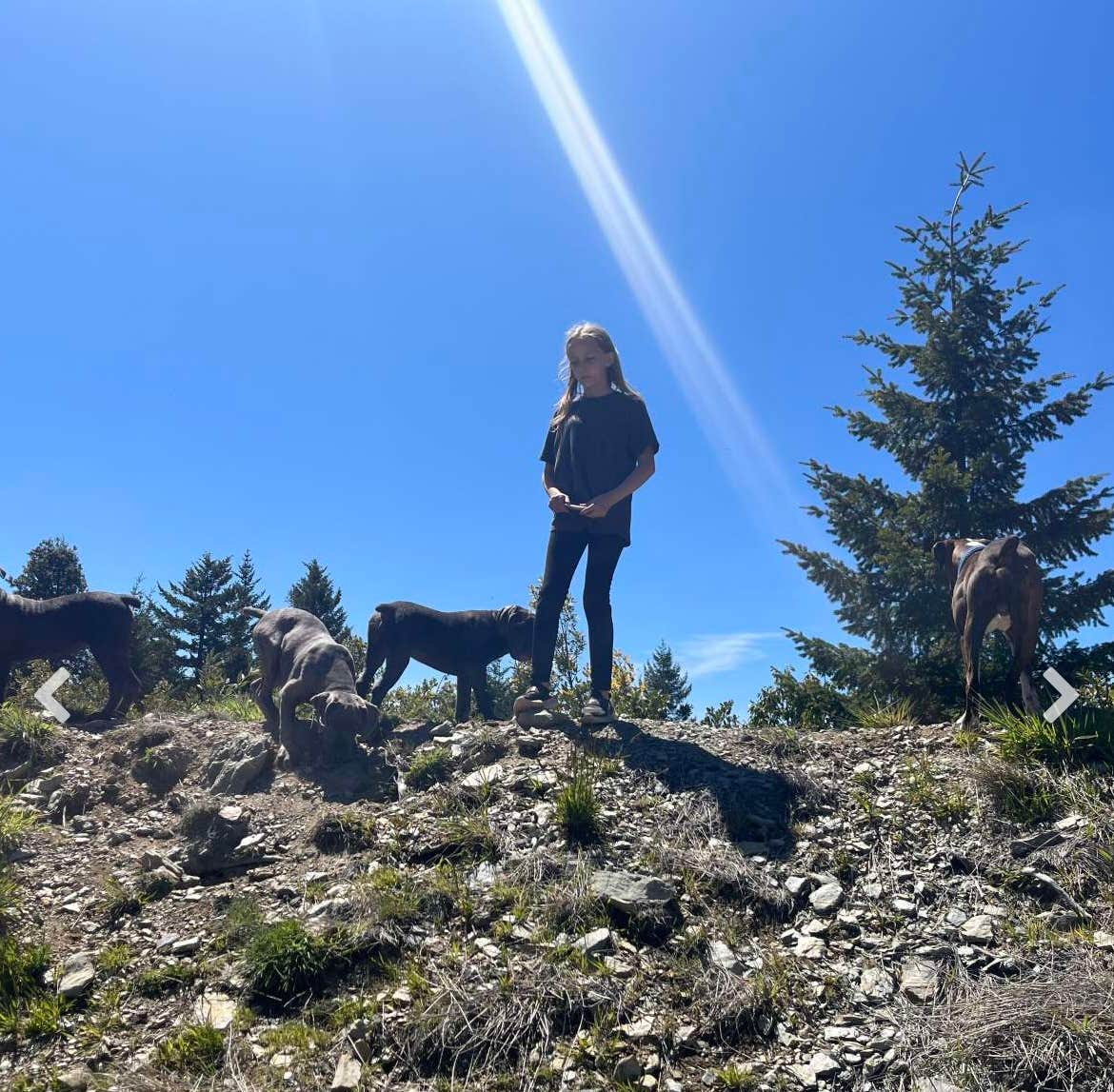 Kristen K.'s photo of camping with pets at High Vibes near Six Rivers National Forest