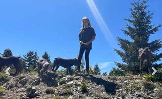Kristen K.'s photo of camping with pets at High Vibes near Arcata, CA