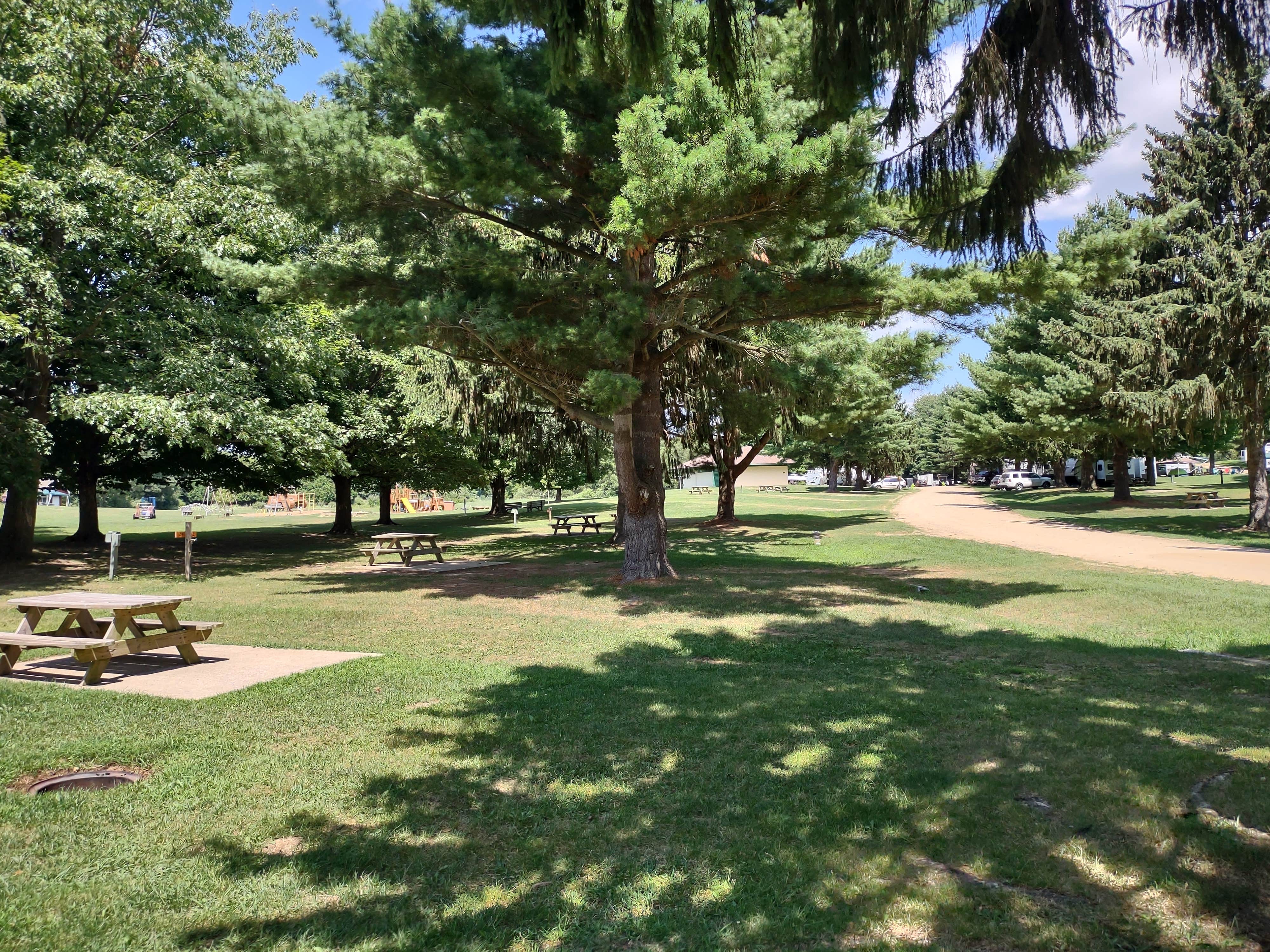 Camper-submitted photo at Michawana Campground near Bellevue, MI