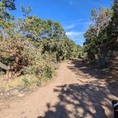 Review photo of Black Canyon Dispersed Camping by Greg L., August 2, 2022