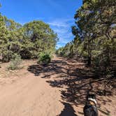 Review photo of Black Canyon Dispersed Camping by Greg L., August 2, 2022