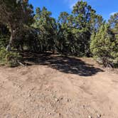 Review photo of Black Canyon Dispersed Camping by Greg L., August 2, 2022