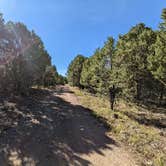 Review photo of Black Canyon Dispersed Camping by Greg L., August 2, 2022