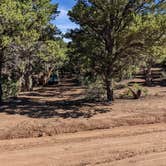 Review photo of Black Canyon Dispersed Camping by Greg L., August 2, 2022