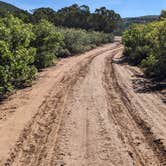 Review photo of Black Canyon Dispersed Camping by Greg L., August 2, 2022