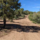 Review photo of Black Canyon Dispersed Camping by Greg L., August 2, 2022