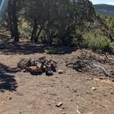 Review photo of Black Canyon Dispersed Camping by Greg L., August 2, 2022