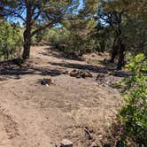 Review photo of Black Canyon Dispersed Camping by Greg L., August 2, 2022