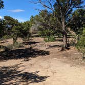 Review photo of Black Canyon Dispersed Camping by Greg L., August 2, 2022