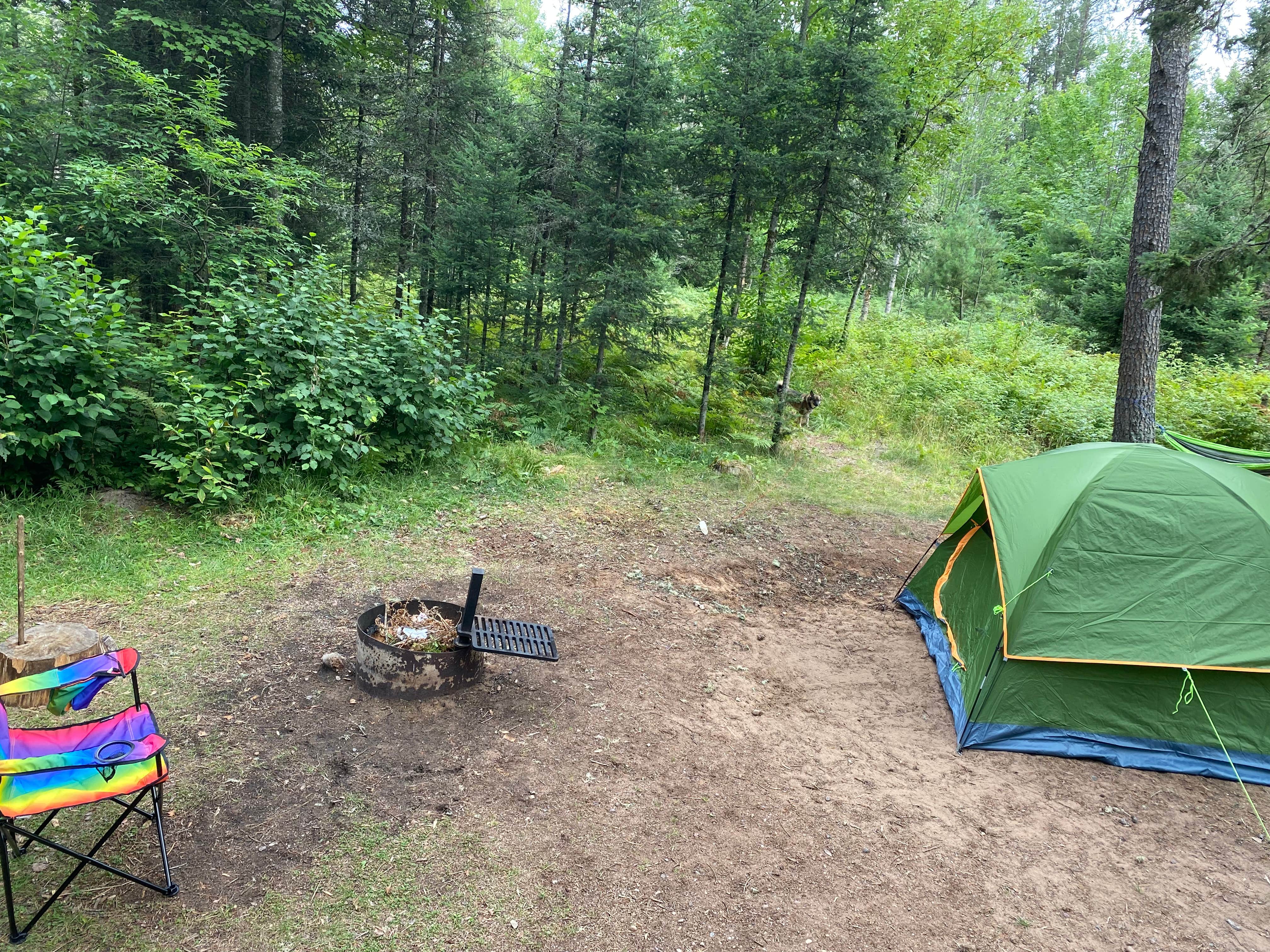 Sonny S.'s photo at Sparrow Rapids Campground near Watersmeet, MI