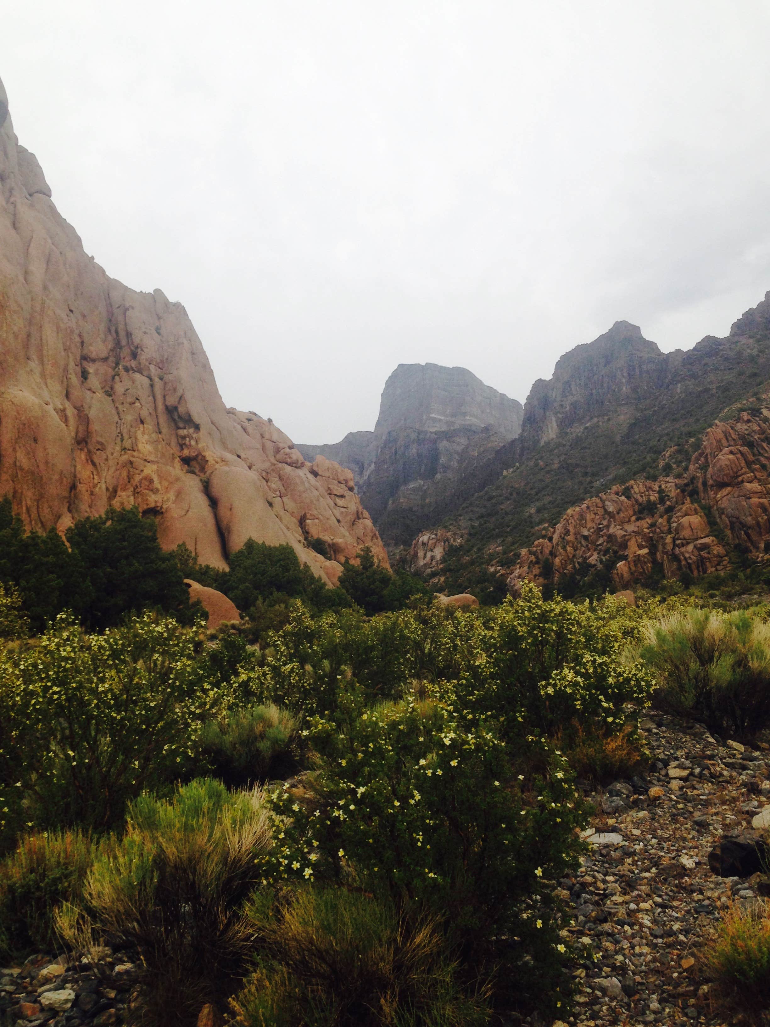 Camper-submitted photo at Notch Peak Trailhead near Great Basin National Park