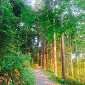 Review photo of Hoh Campground — Olympic National Park by Carla S., July 27, 2016