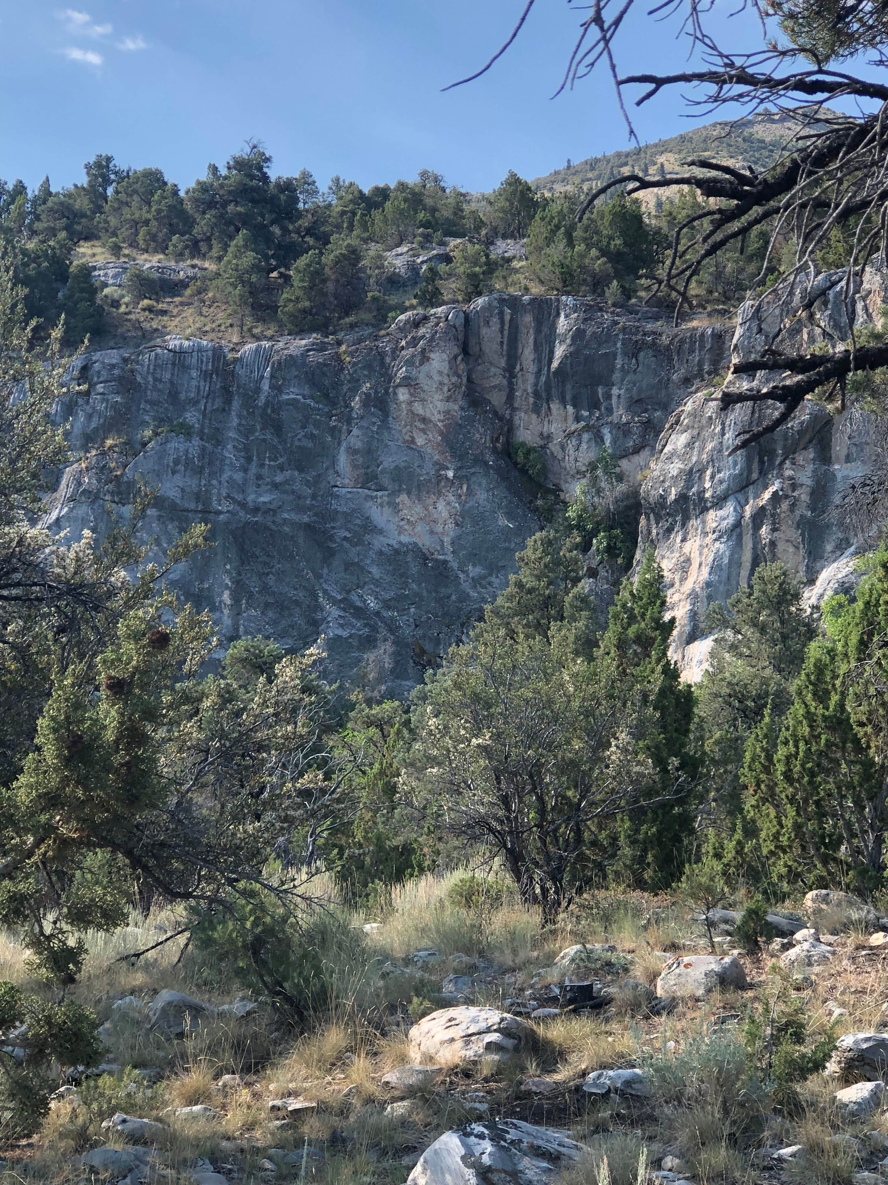 Camper submitted image from Grey Cliffs Campground — Great Basin National Park - 2