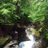 Review photo of Hoh Campground — Olympic National Park by Carla S., July 27, 2016