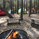 Review photo of Huntington Beach State Park Campground by Ginger P., July 22, 2018