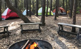 Ginger P.'s photo at Huntington Beach State Park Campground in South Carolina