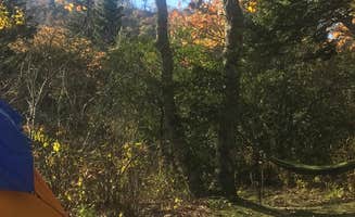 Ginger P.'s photo at Mount Pisgah Campground in North Carolina