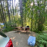 Review photo of Glacier Campground by Rachel B., August 2, 2022