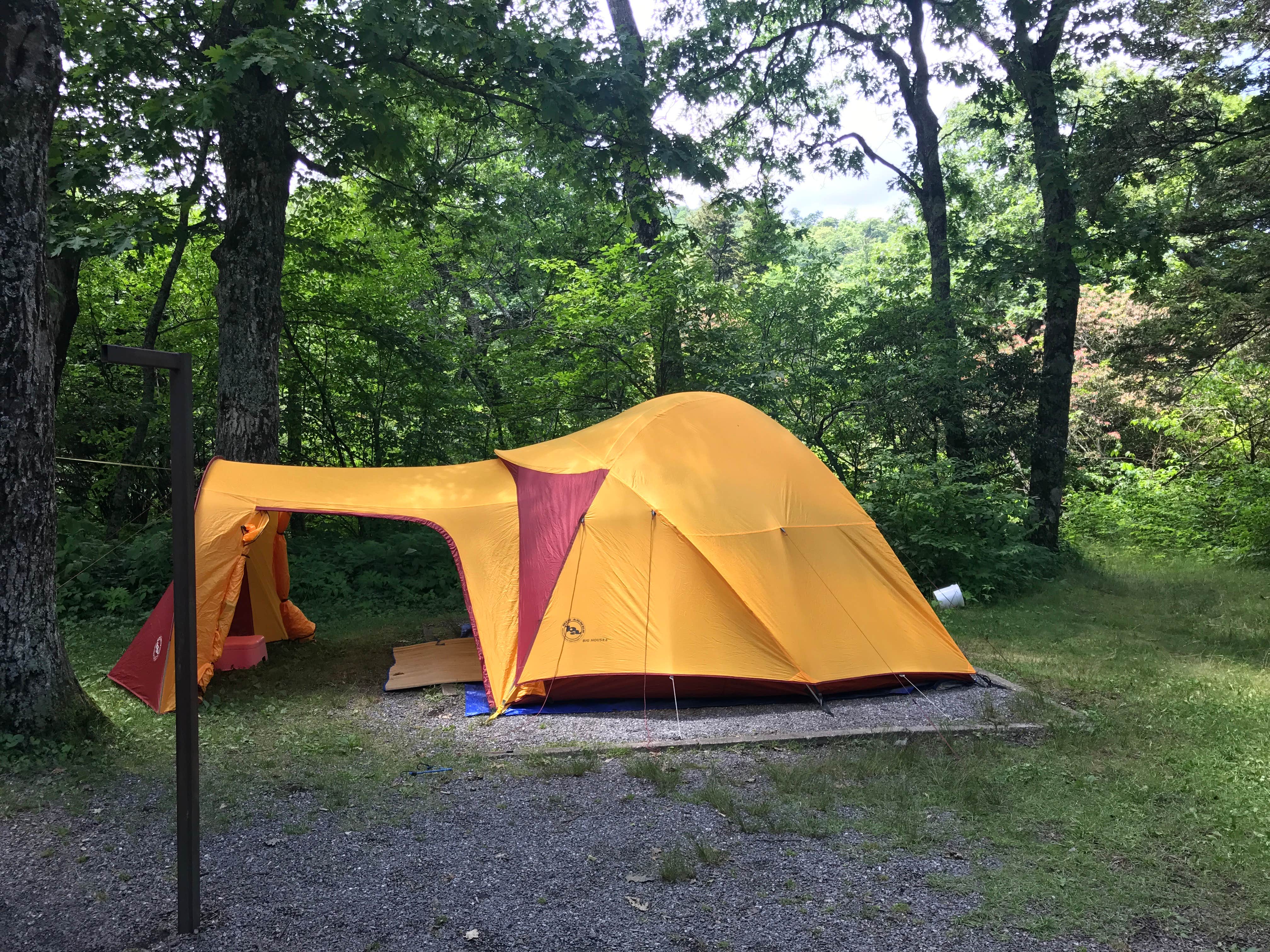 Ginger P.'s photo at Mount Pisgah Campground near Candler, NC