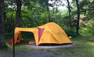 Ginger P.'s photo at Mount Pisgah Campground near Candler, NC