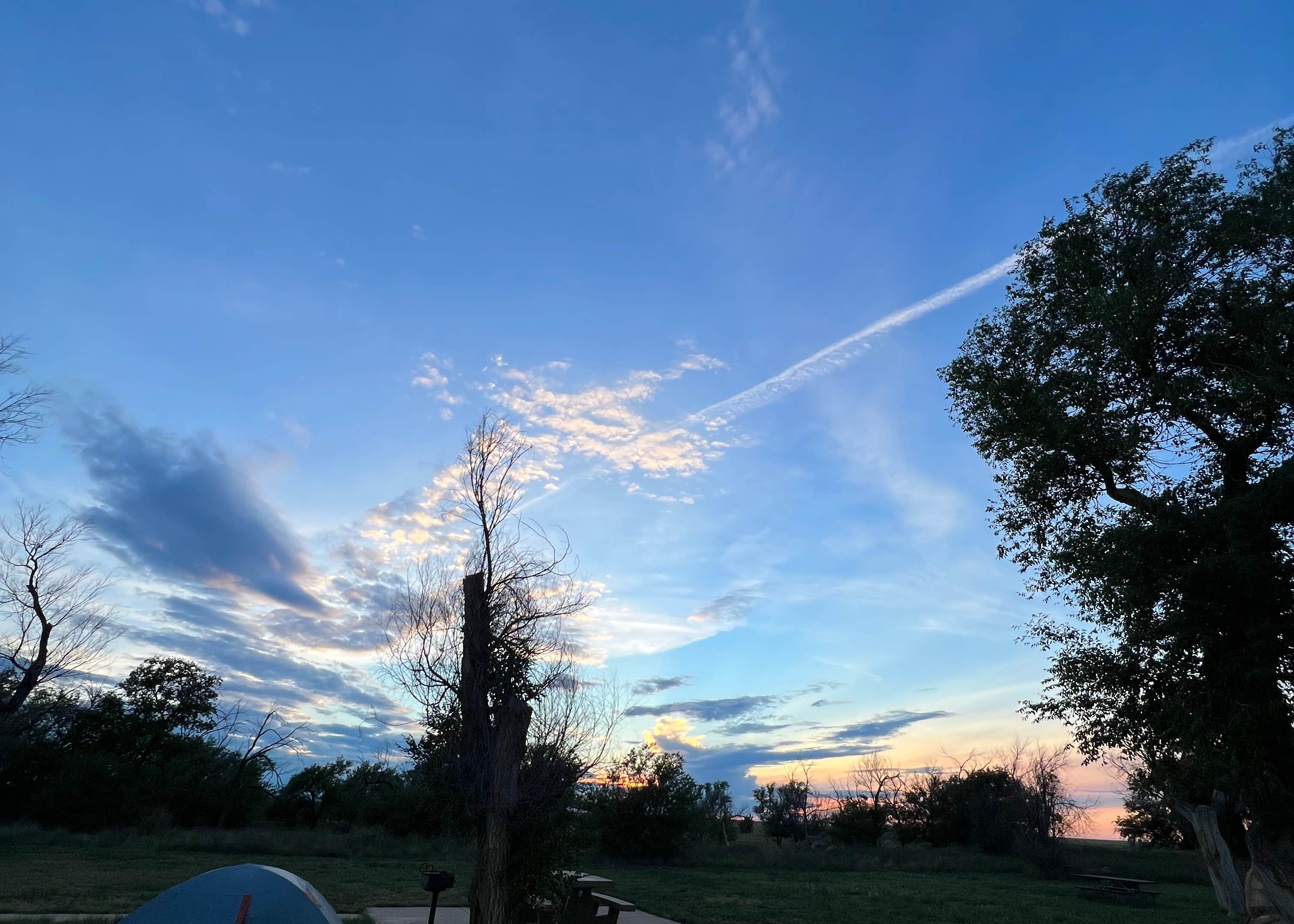 Thompson Grove Boondocking Camping The Dyrt