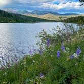 Review photo of North Michigan Campground — State Forest State Park by Casey L., August 2, 2022