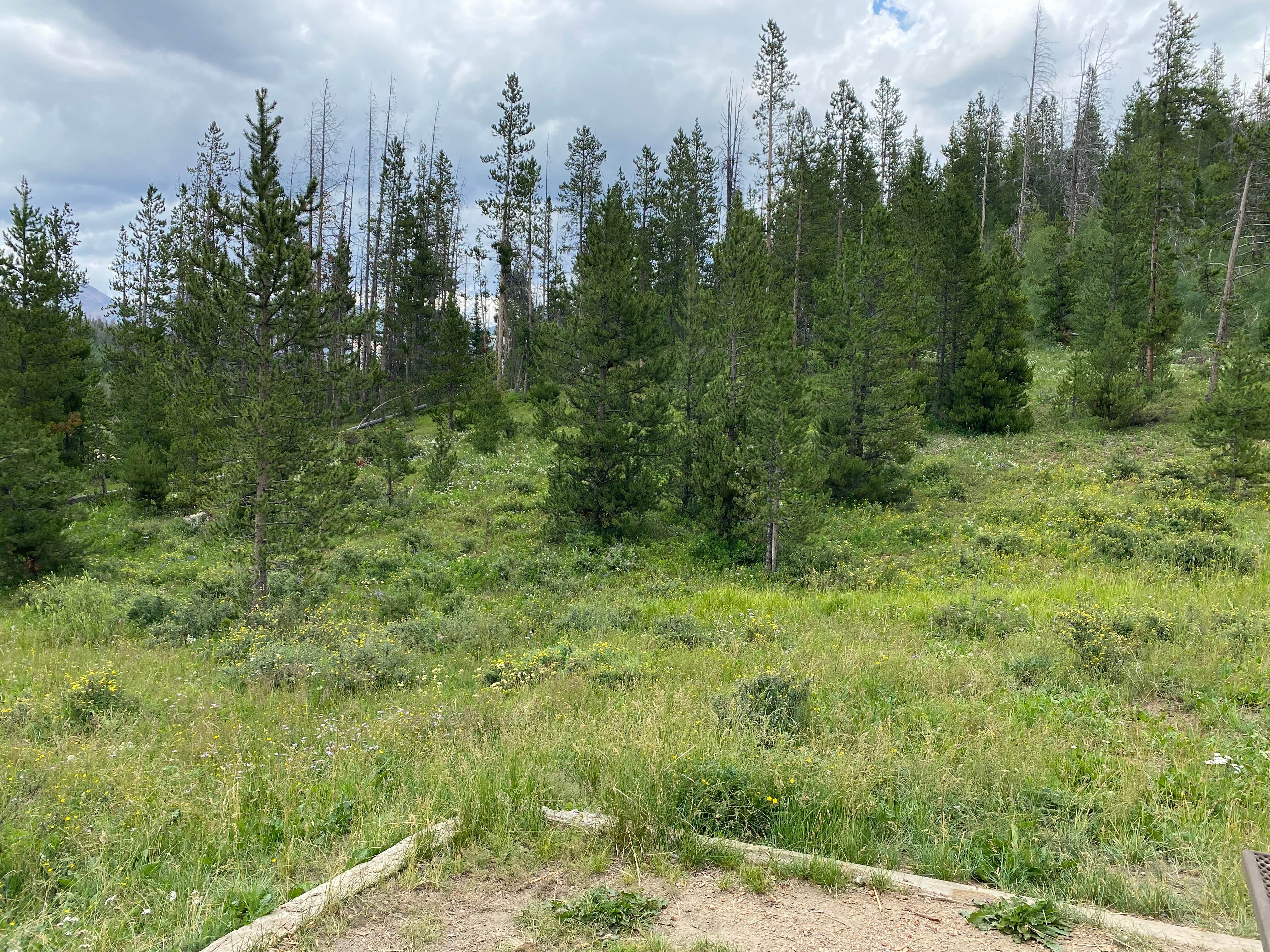 Camper-submitted photo at North Michigan Campground — State Forest State Park near Gould, CO