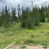 Review photo of North Michigan Campground — State Forest State Park by Casey L., August 2, 2022