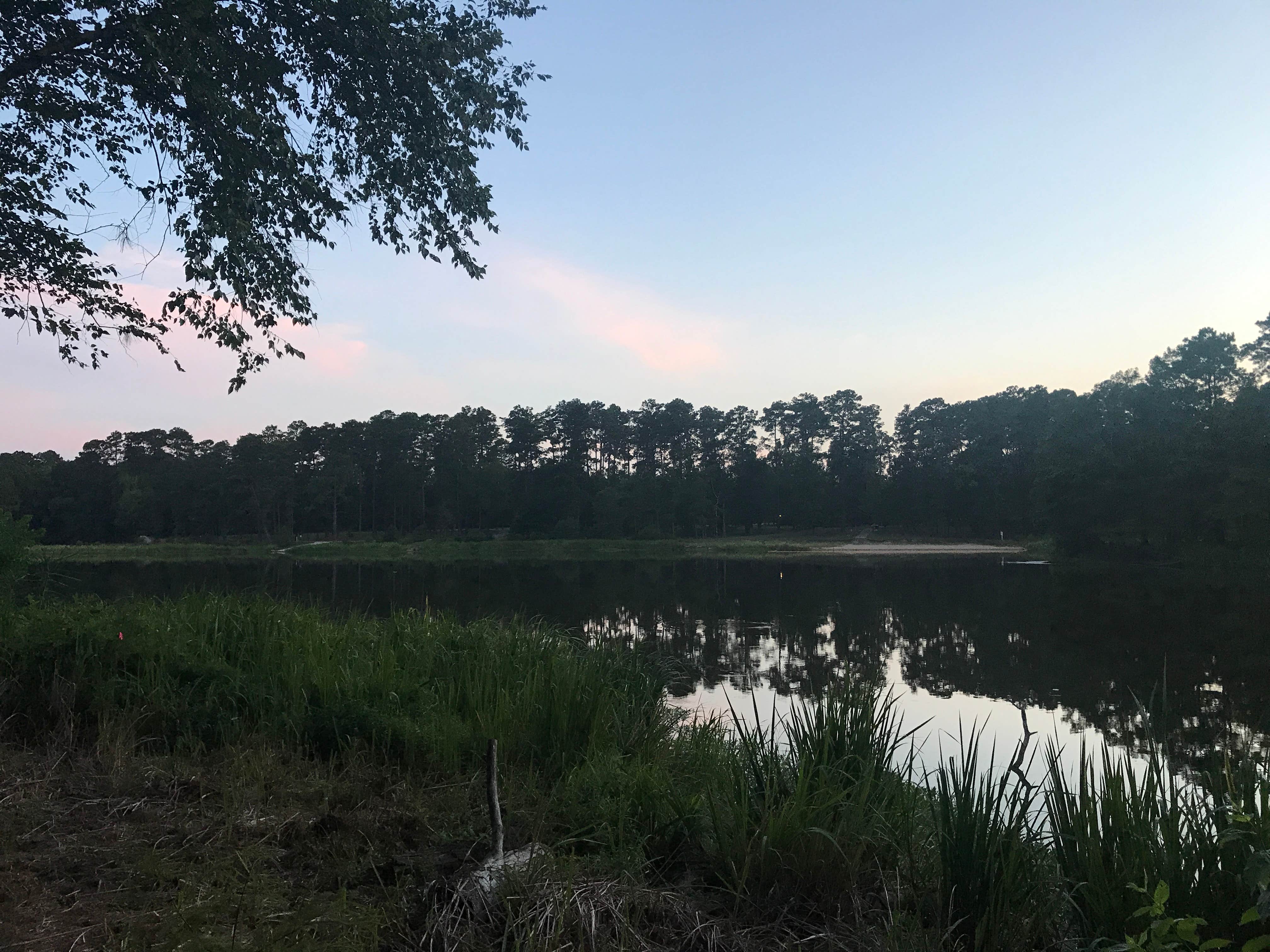 Camper submitted image from Ratcliff Lake Recreation Area - 5