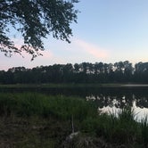 Review photo of Ratcliff Lake Recreation Area by Cara H., July 22, 2018