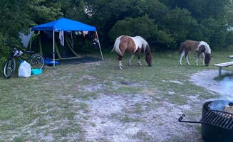 MsTrailBlazer 🏔.'s photo at Bayside Assateague Campground — Assateague Island National Seashore near Assateague Island National Seashore