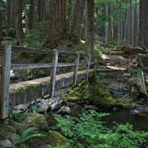 Review photo of Camp Creek Olympic Discovery Trailhead by Carla S., July 27, 2016