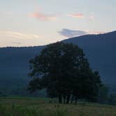 Review photo of Cades Cove Campground by Cara H., July 22, 2018