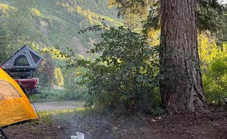 Lacey O.'s photo at Marble Area near Gunnison National Forest